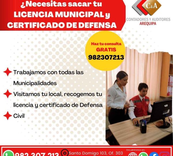 Contadores y Auditores Arequipa