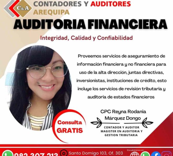 Contadores y Auditores Arequipa