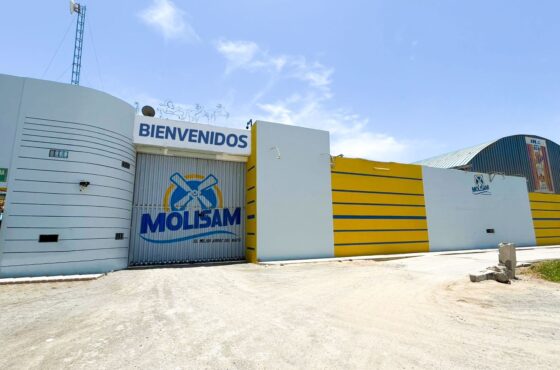 MOLISAM I S.A.C.